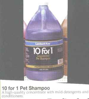 101shampoo.JPG (7411 bytes)