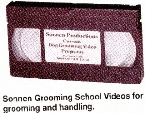 groomvideo.JPG (28312 bytes)