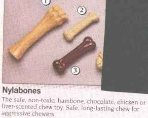 nylabone.JPG (7201 bytes)