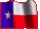 Texas Flag